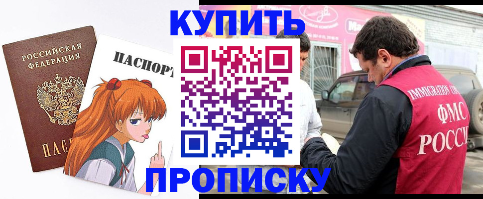 где прописаться в Дмитрове